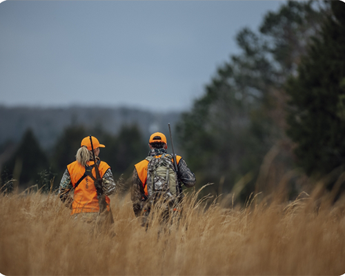 hunters walking in a grassy field